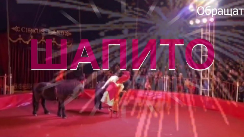 Цирк Шапито в Каскелене (Видео)
