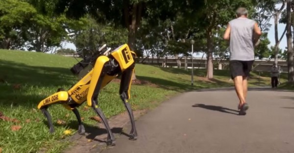 Сингапурде әлеуметтік арақашықтықты қадағалайтын робот пайда болды