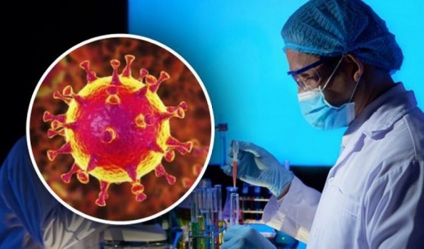 Ученые нашли около 200 мутаций коронавируса