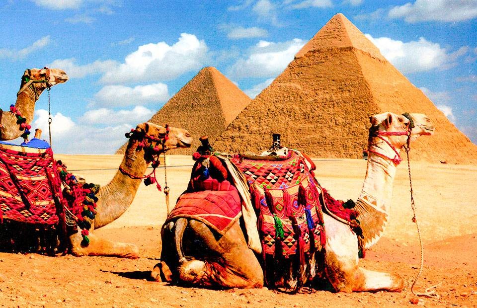 Египет онлайн-туризмі дамыған әлемнің алғашқы еліне айналуы мүмкін   