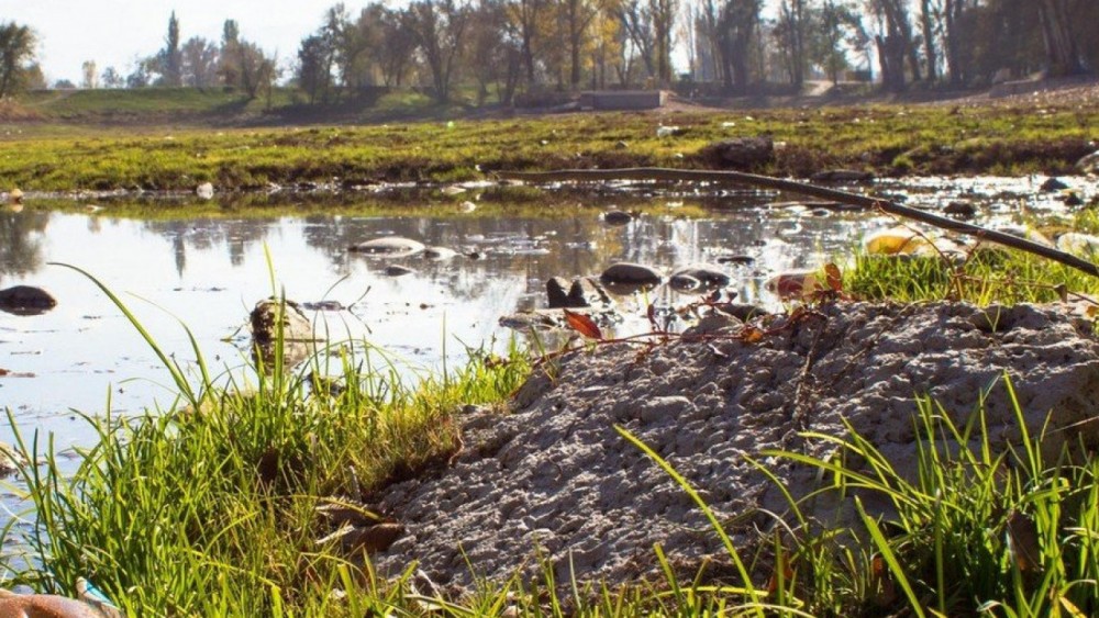 Шестеро детей купались в загрязненном мусором водоеме в Алматы   
