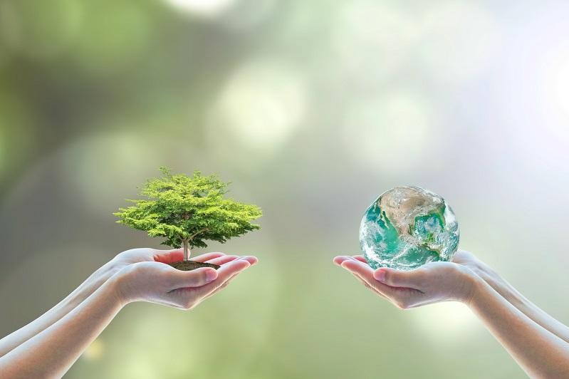 2021 жылды «Экология жылы» деп жариялау ұсынылды