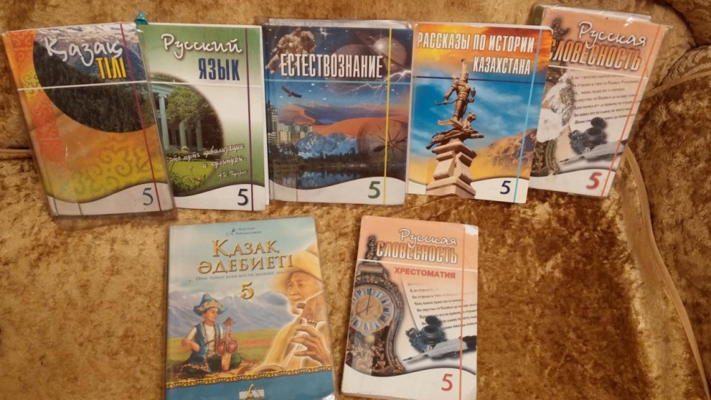 Школьников Казахстана обеспечат бумажными учебниками вне зависимости от формата обучения