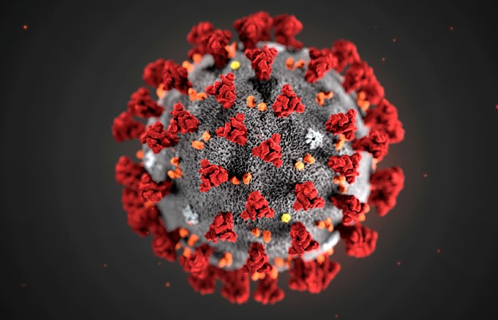 Пандемия коронавируса только набирает обороты
