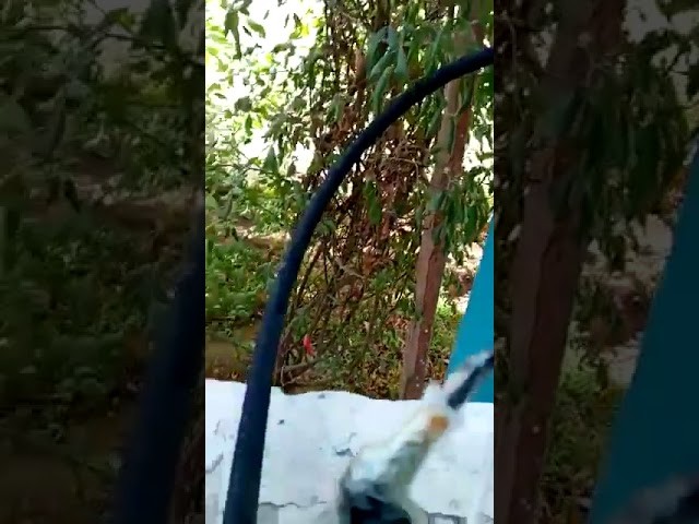 Восьмиклассник собрал для дедушки аппарат ИВЛ в Мангистау (видео)