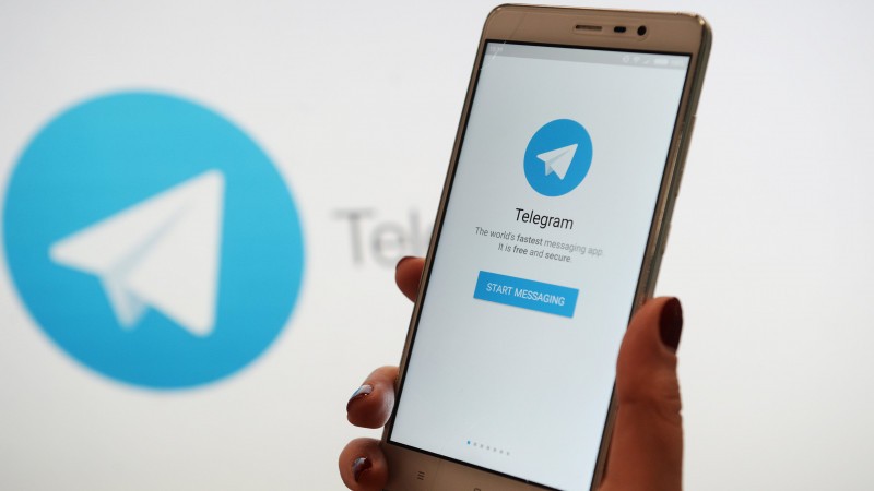 Теперь сообщать о нарушении карантинных норм можно через Telegram-бот