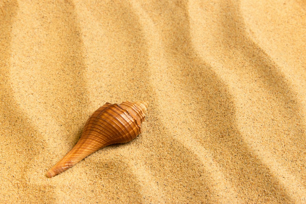 Песок на пляжах может быть опасен   