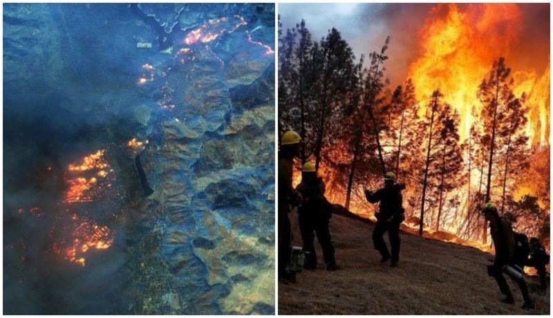 Лесной пожар в Колорадо разрушил 26 домов   