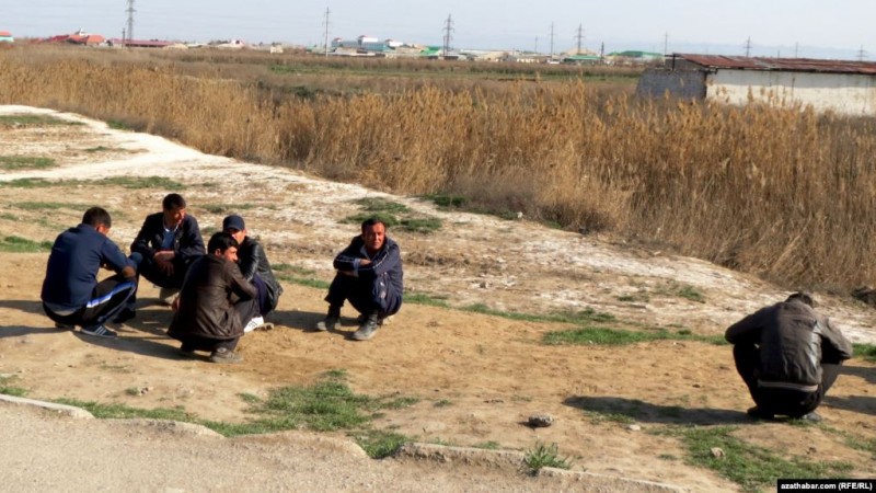 «Как с рабами обращаются»: неплательщиков штрафов заставляют собирать хлопок в Туркменистане