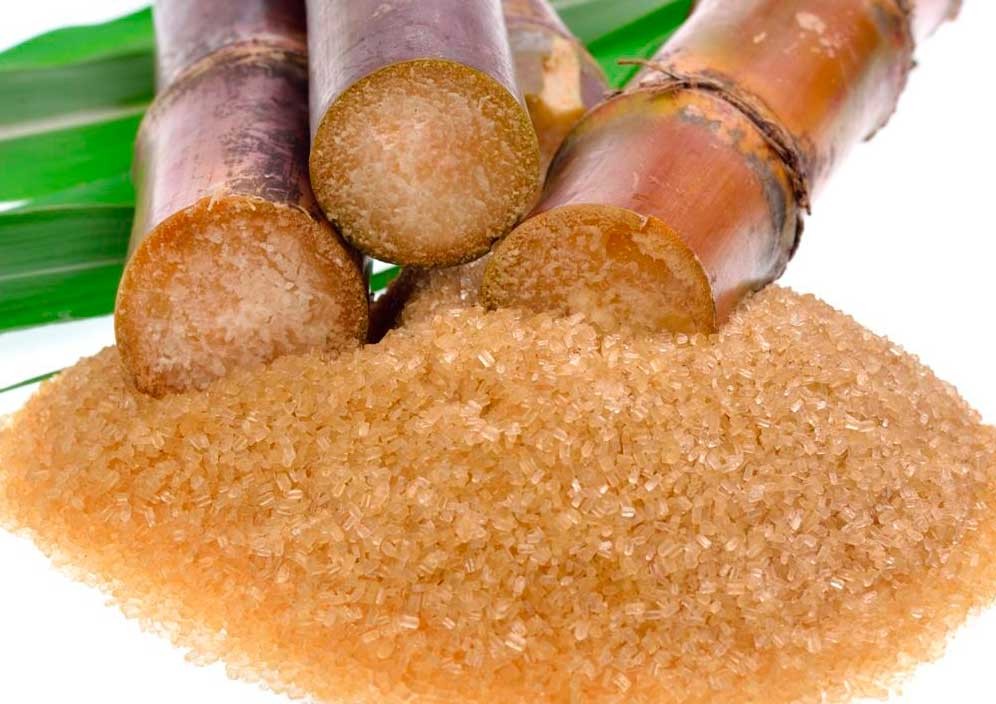 Бразильский тростник будут перерабатывать в сахар  в Алматинской области
