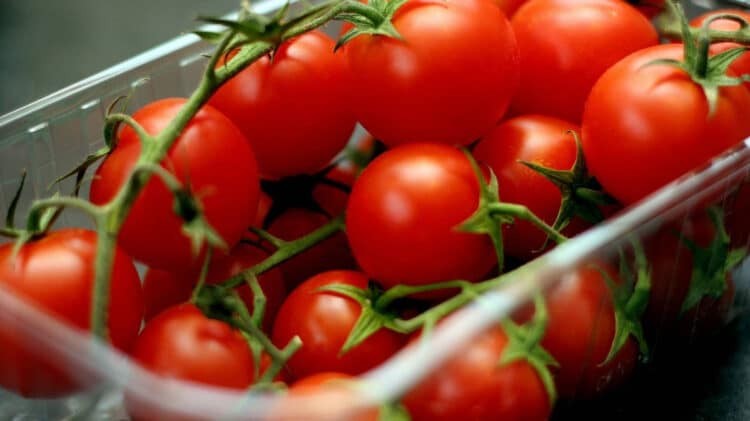 Россия запретила ввоз томатов и перца из Казахстана