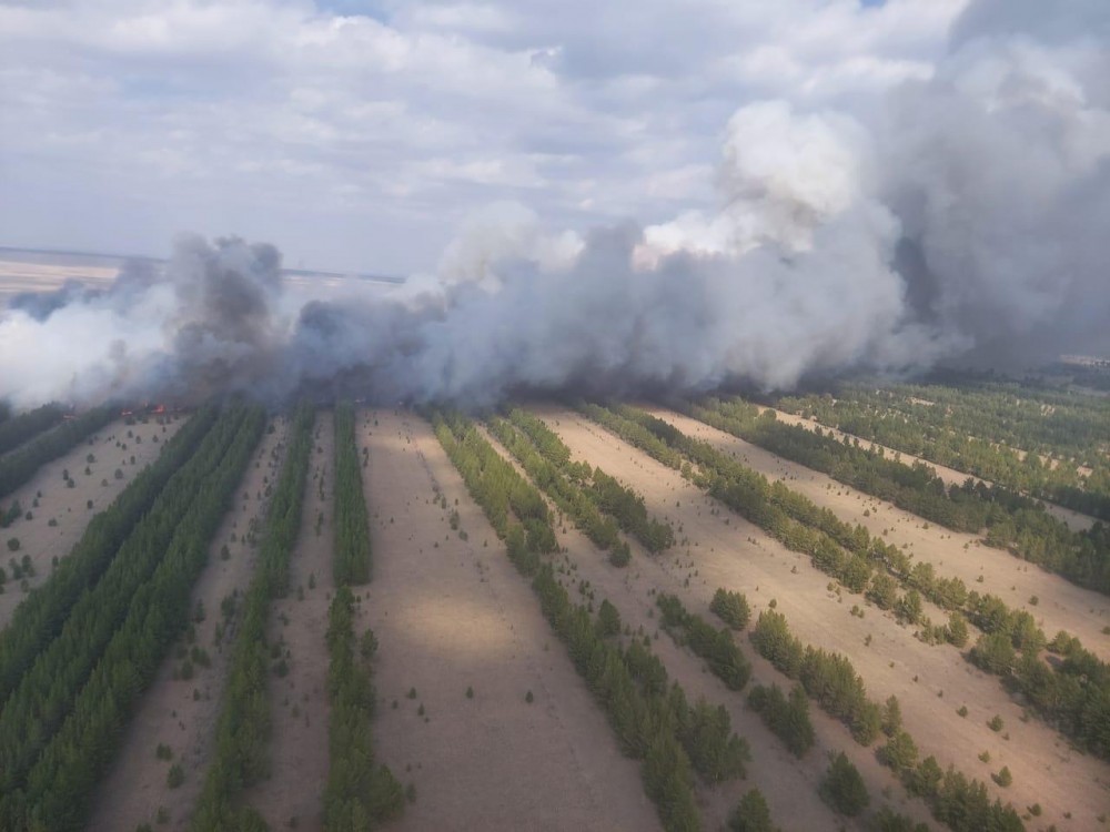 Пожар в резервате «Ертіс орманы»: площадь возгорания достигла 300 га