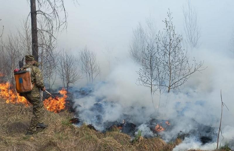 Открытым пламенем горит лес возле Риддера в ВКО