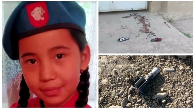 СМИ рассказали историю 12-летней Мадины, погибшей на кыргызско-таджикской границе