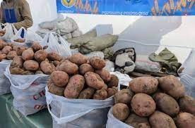 Цены на картофель взлетели до 500 тенге за килограмм в регионах Казахстана