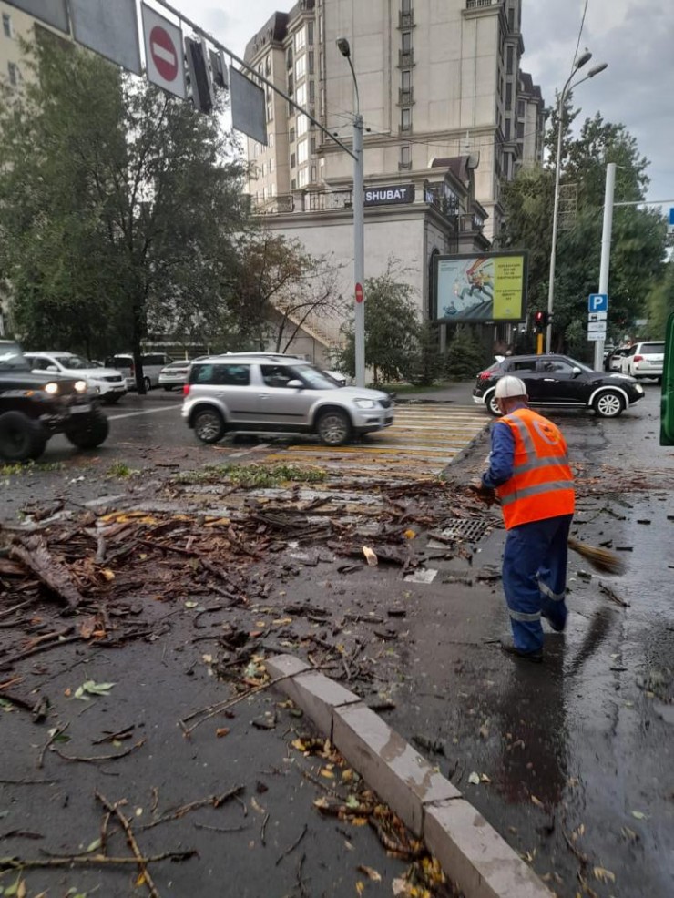 Гроза в Алматы: упавшие деревья повредили 16 авто   