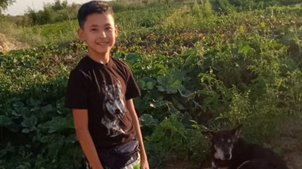 11-летний мальчик из Кентау собирает деньги для погибающих от жары животных   