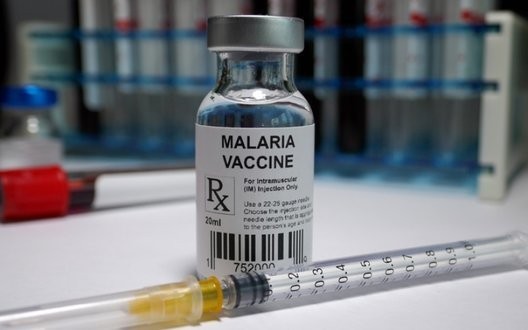 ВОЗ одобрила первую вакцину против малярии