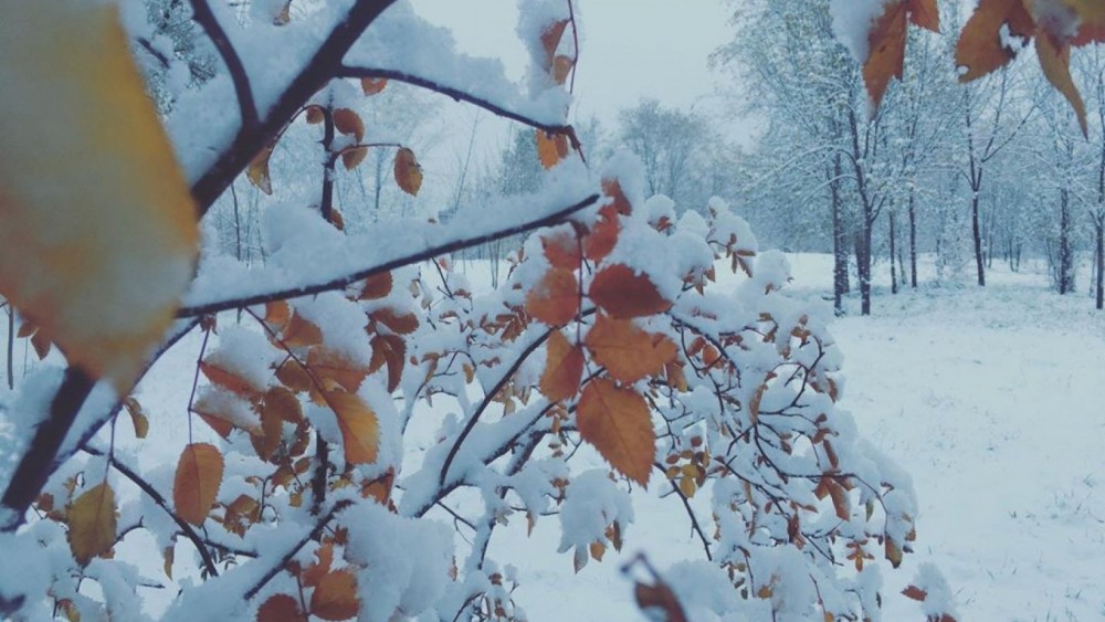 Первый снег выпал в Алматы и близлежащих районах