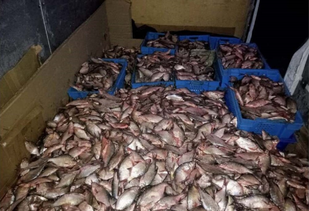 Тонну рыбы изъяли полицейские у браконьера в Алматинской области   
